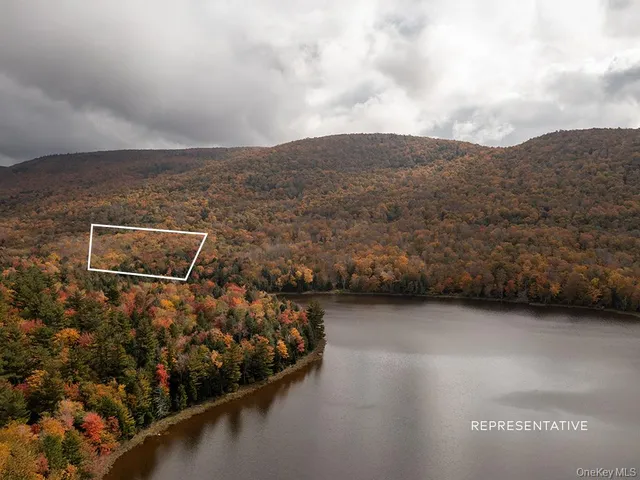 a view of a yard with large trees