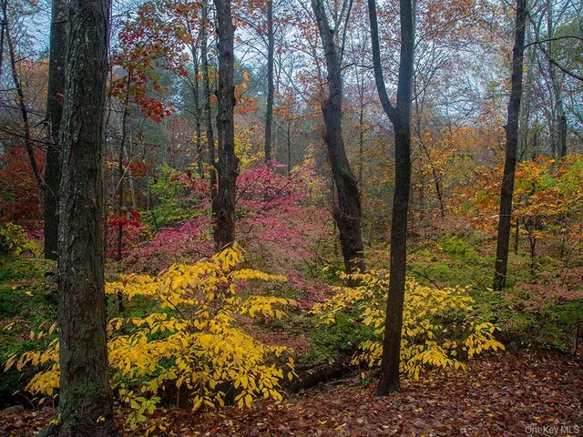 view of a pathway of the house