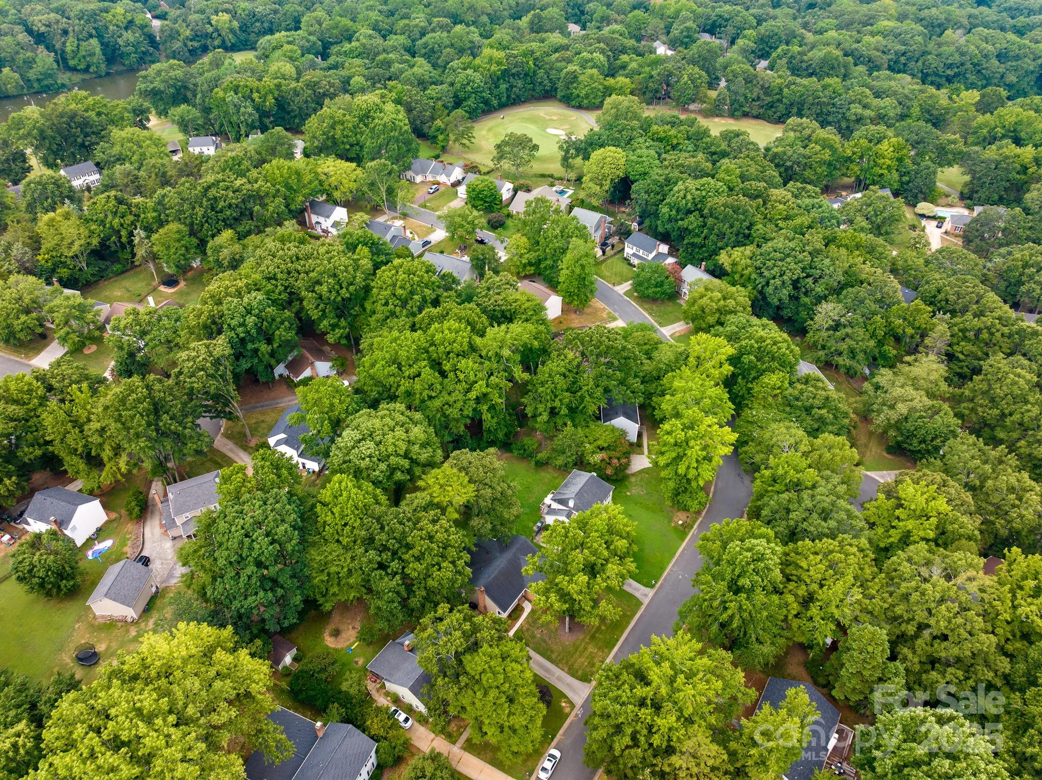 8806 Golf Ridge Drive Charlotte, NC 28277 - Photo 19 of 22 a view of a garden with plants