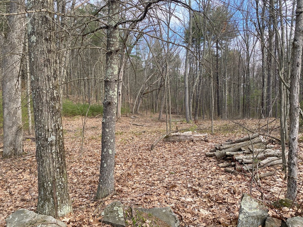 0 Doane Road Ware, MA 01082 - Photo 1 of 5 Gallery Image 1