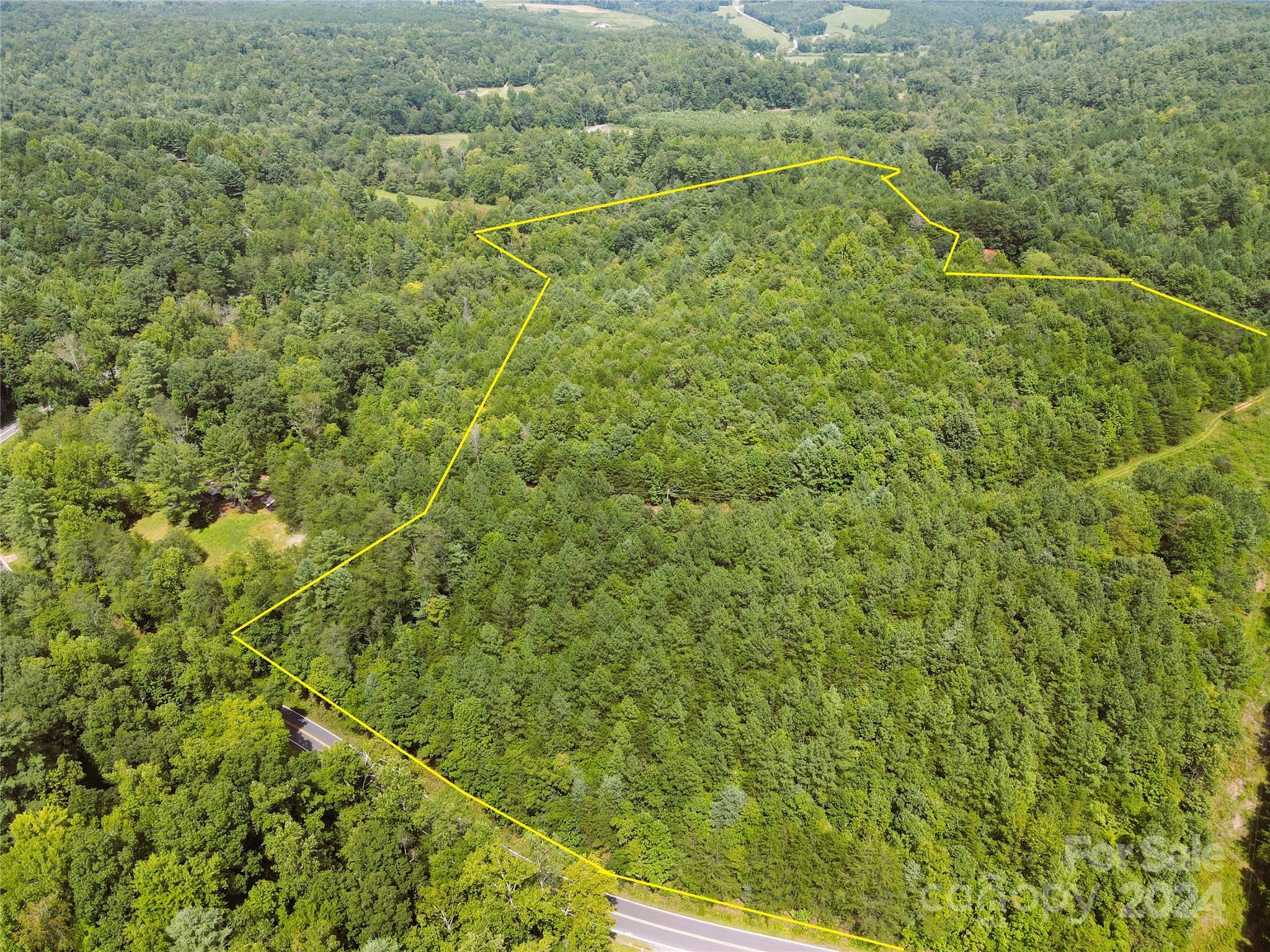 5157 Rhoney Road Connelly Springs, NC 28612 - Photo 13 of 29 a view of a big yard