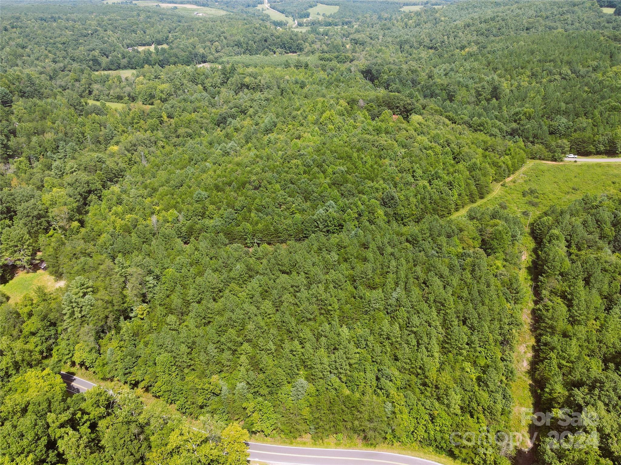 5157 Rhoney Road Connelly Springs, NC 28612 - Photo 14 of 29 a view of a field of grass and trees