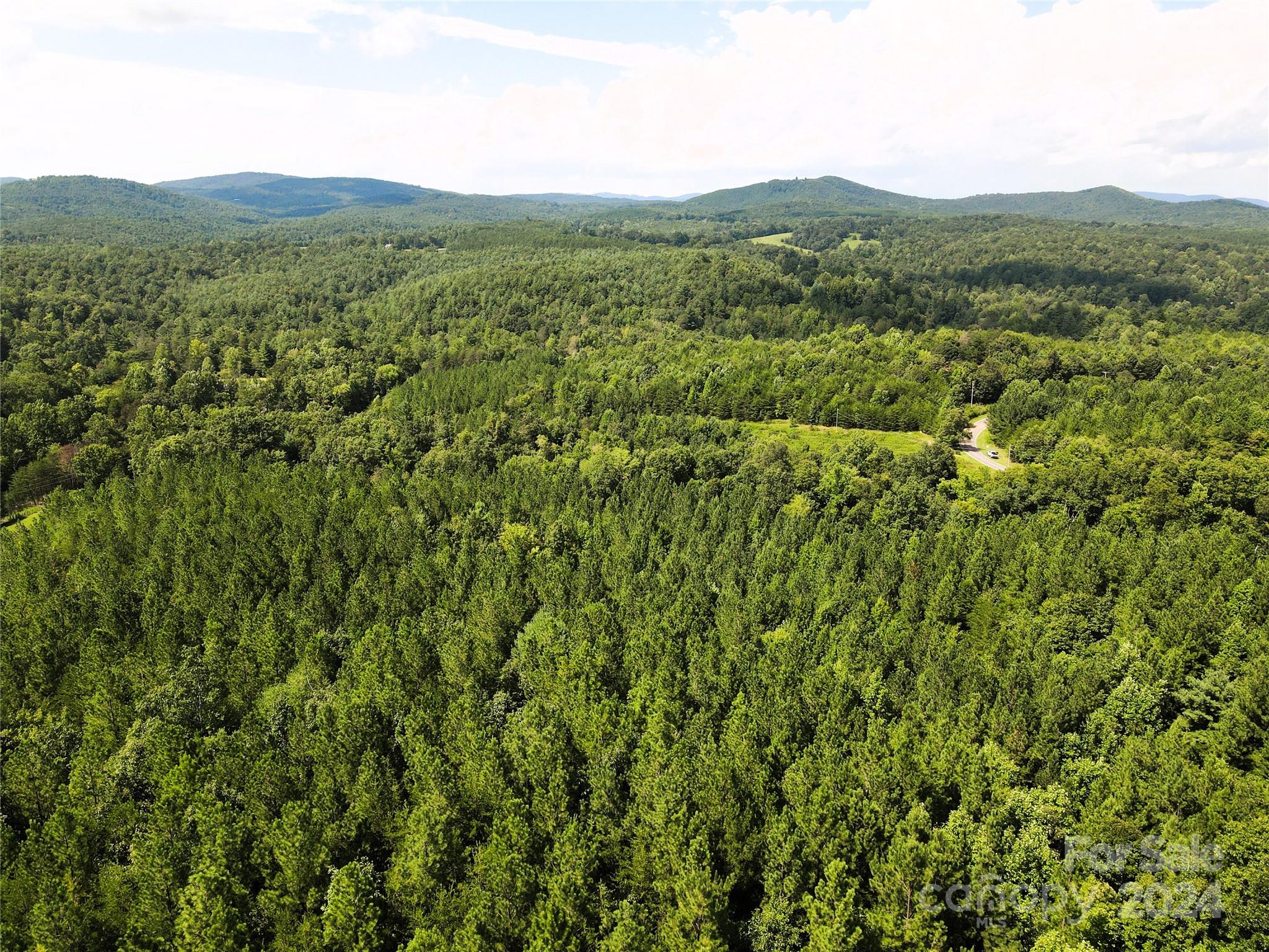 5157 Rhoney Road Connelly Springs, NC 28612 - Photo 17 of 29 a view of a lush green forest with a mountain