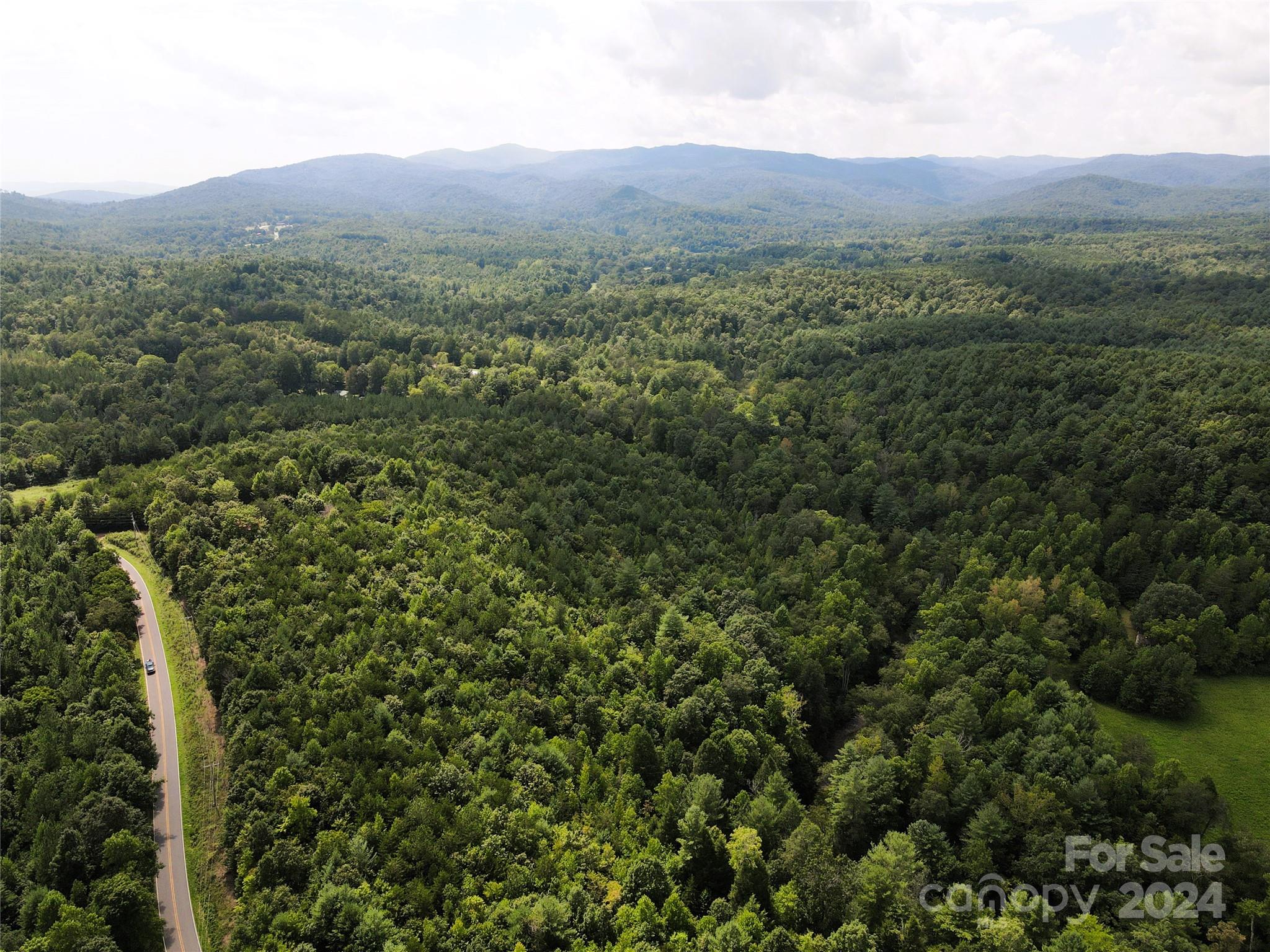 5157 Rhoney Road Connelly Springs, NC 28612 - Photo 19 of 29 a view of a green field with lots of bushes