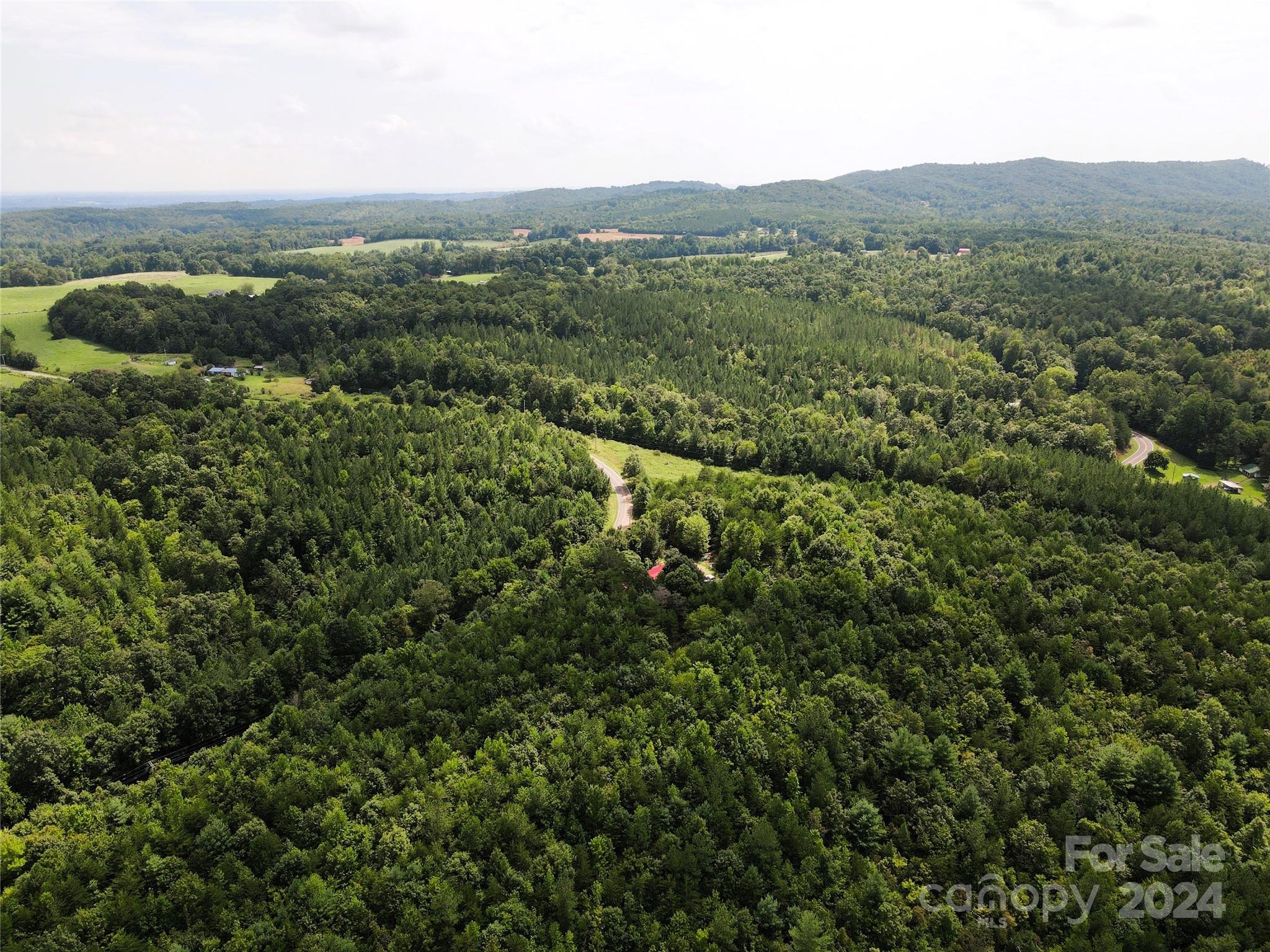 5157 Rhoney Road Connelly Springs, NC 28612 - Photo 20 of 29 an aerial view of residential houses with outdoor space and trees