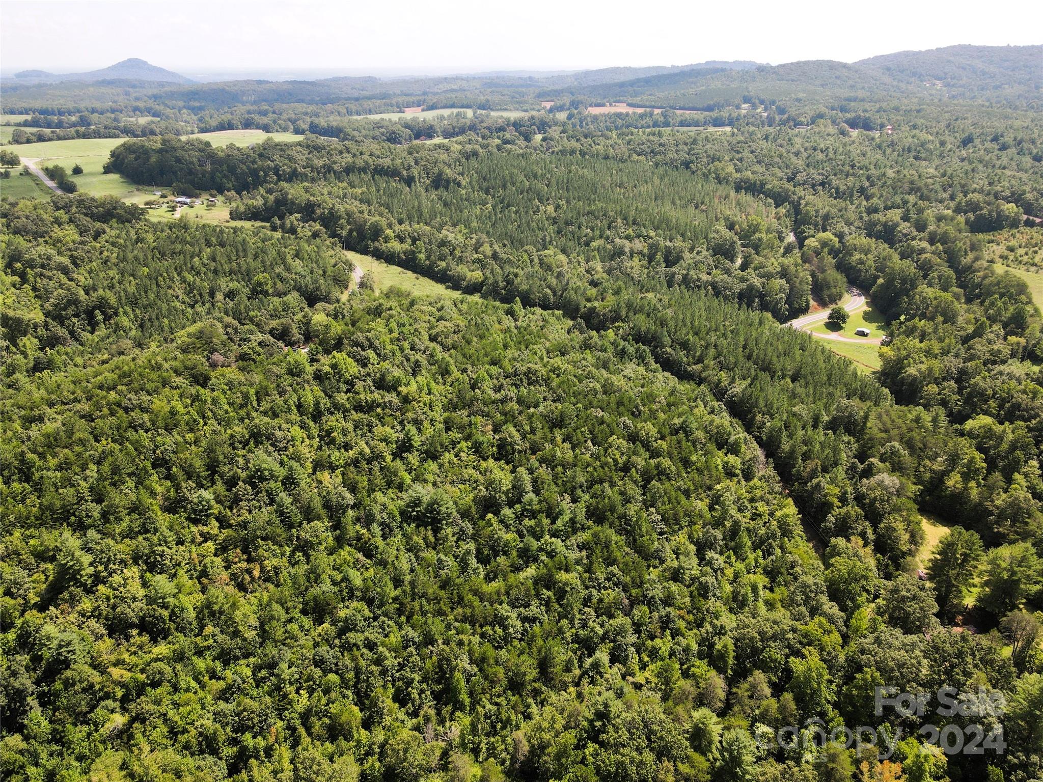 5157 Rhoney Road Connelly Springs, NC 28612 - Photo 22 of 29 a view of a lush green forest with trees and some houses