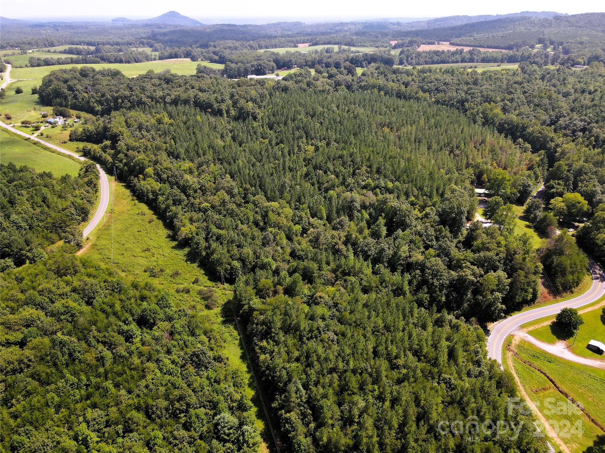 5157 Rhoney Road Connelly Springs, NC 28612 - Photo 24 of 29 a view of a lush green field with mountains in the background