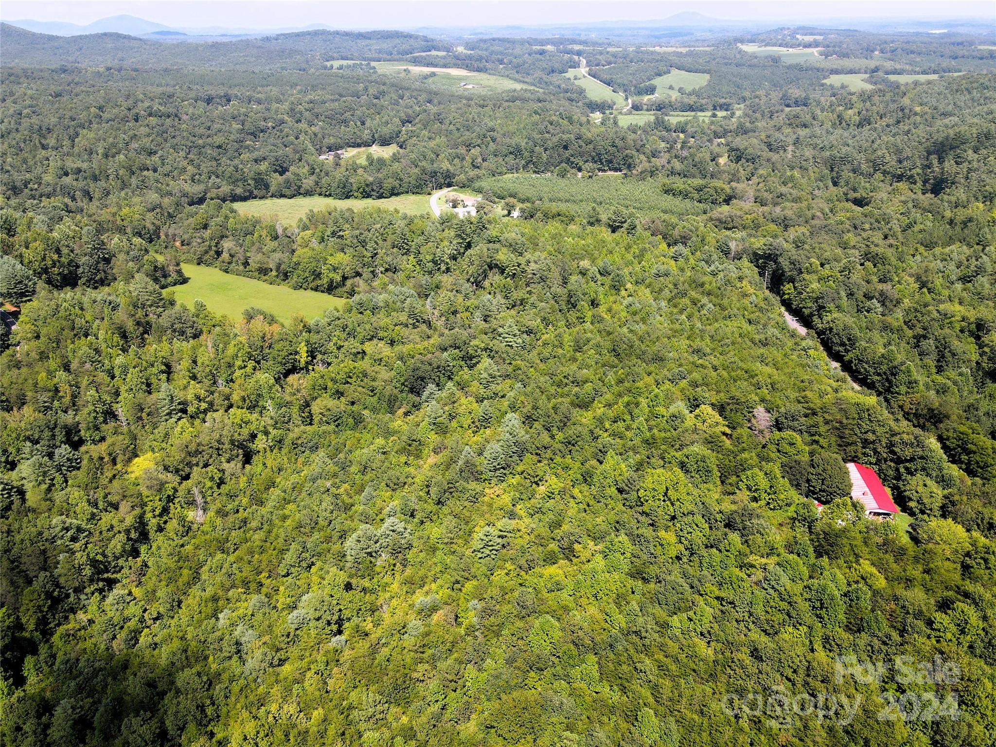 5157 Rhoney Road Connelly Springs, NC 28612 - Photo 25 of 29 a view of outdoor space and mountain view