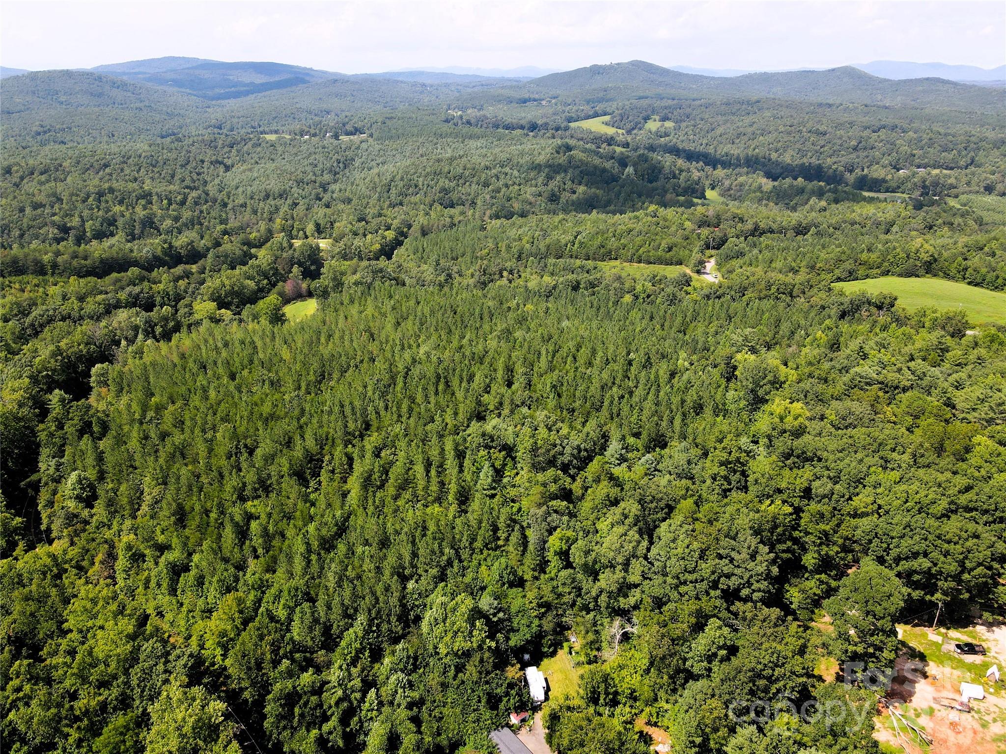 5157 Rhoney Road Connelly Springs, NC 28612 - Photo 27 of 29 a view of a lush green forest with trees and some houses