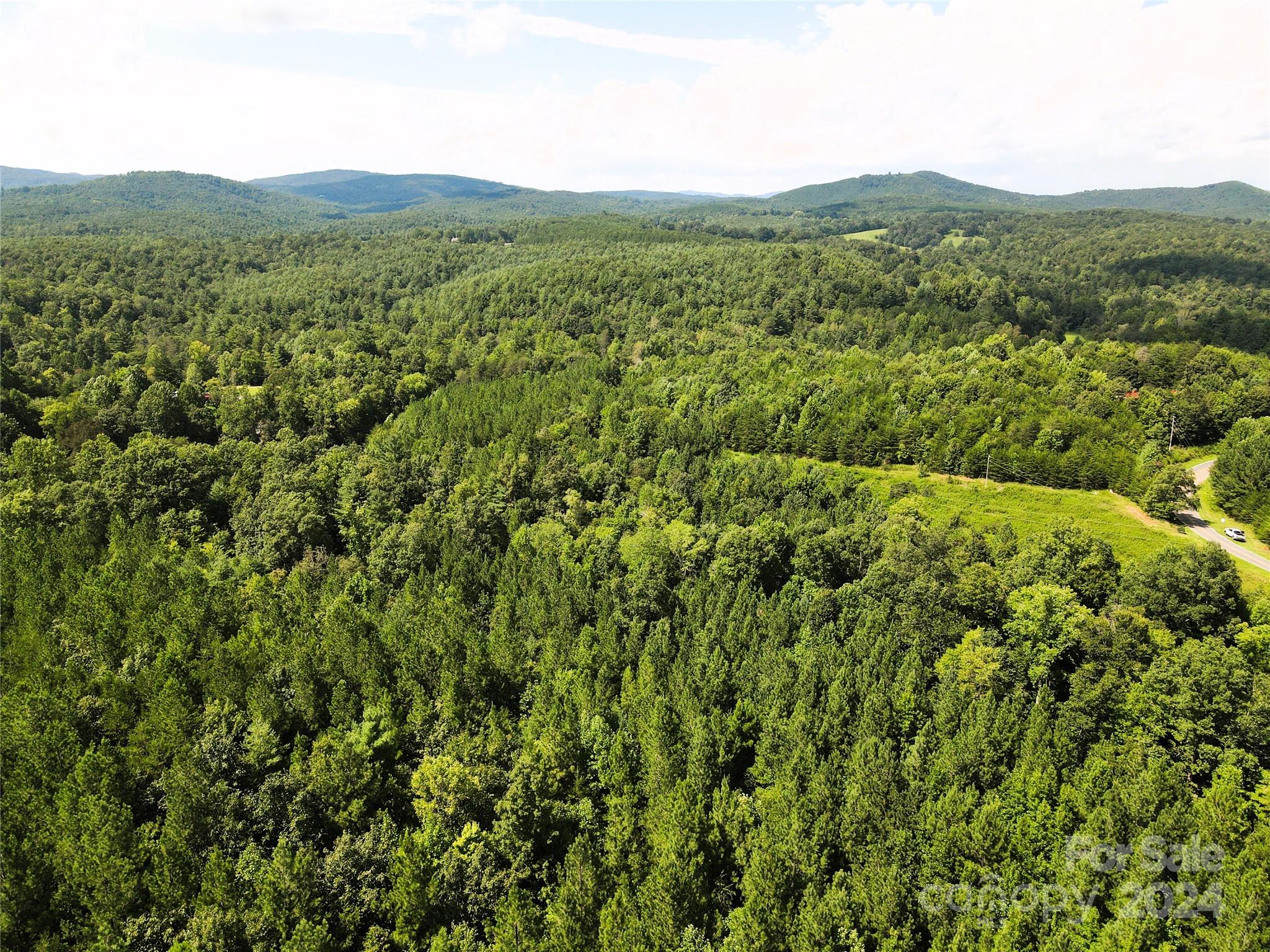 5157 Rhoney Road Connelly Springs, NC 28612 - Photo 28 of 29 a view of a lush green forest with a mountain