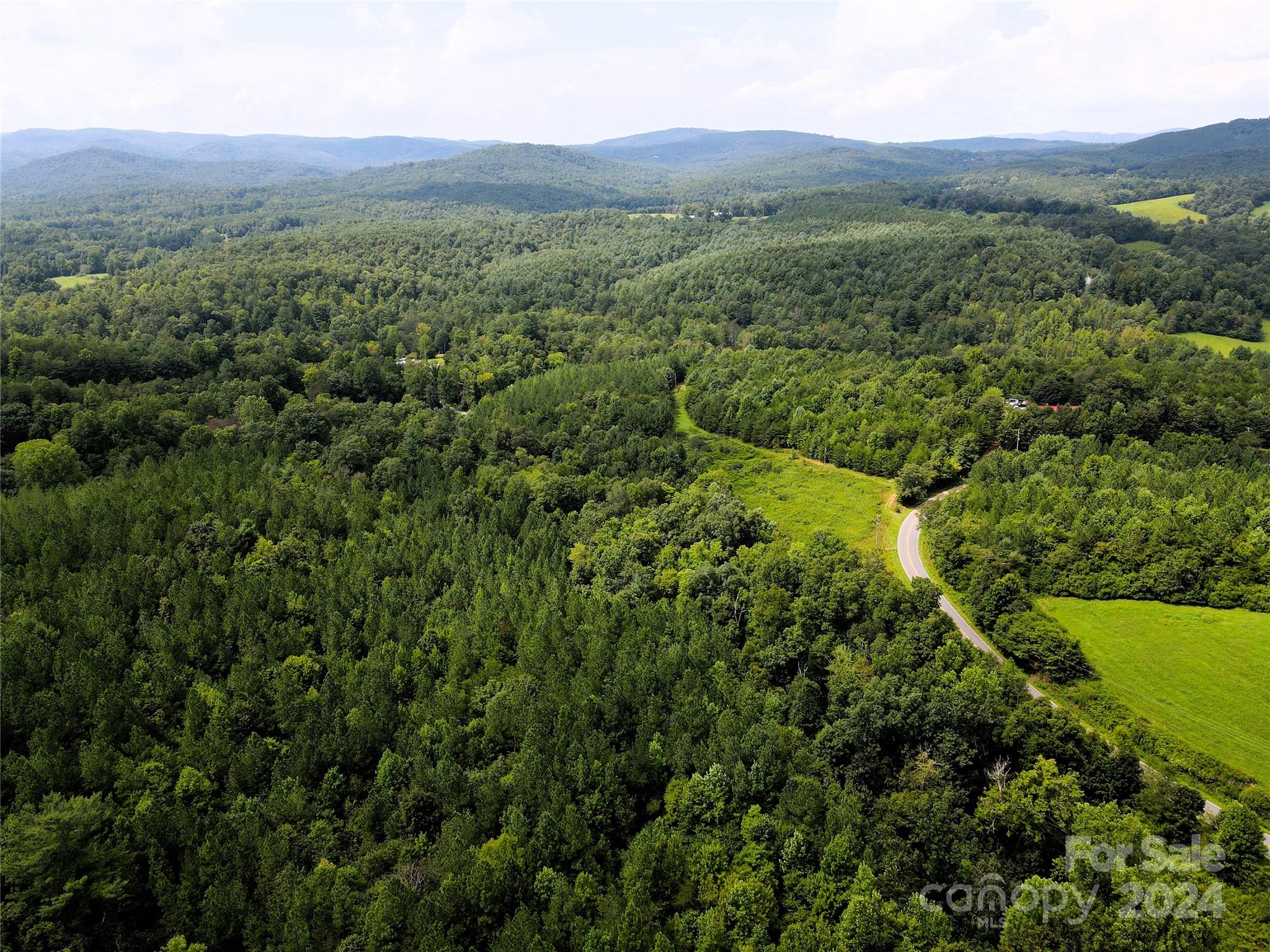 5157 Rhoney Road Connelly Springs, NC 28612 - Photo 6 of 29 a view of a lush green hillside and a houses