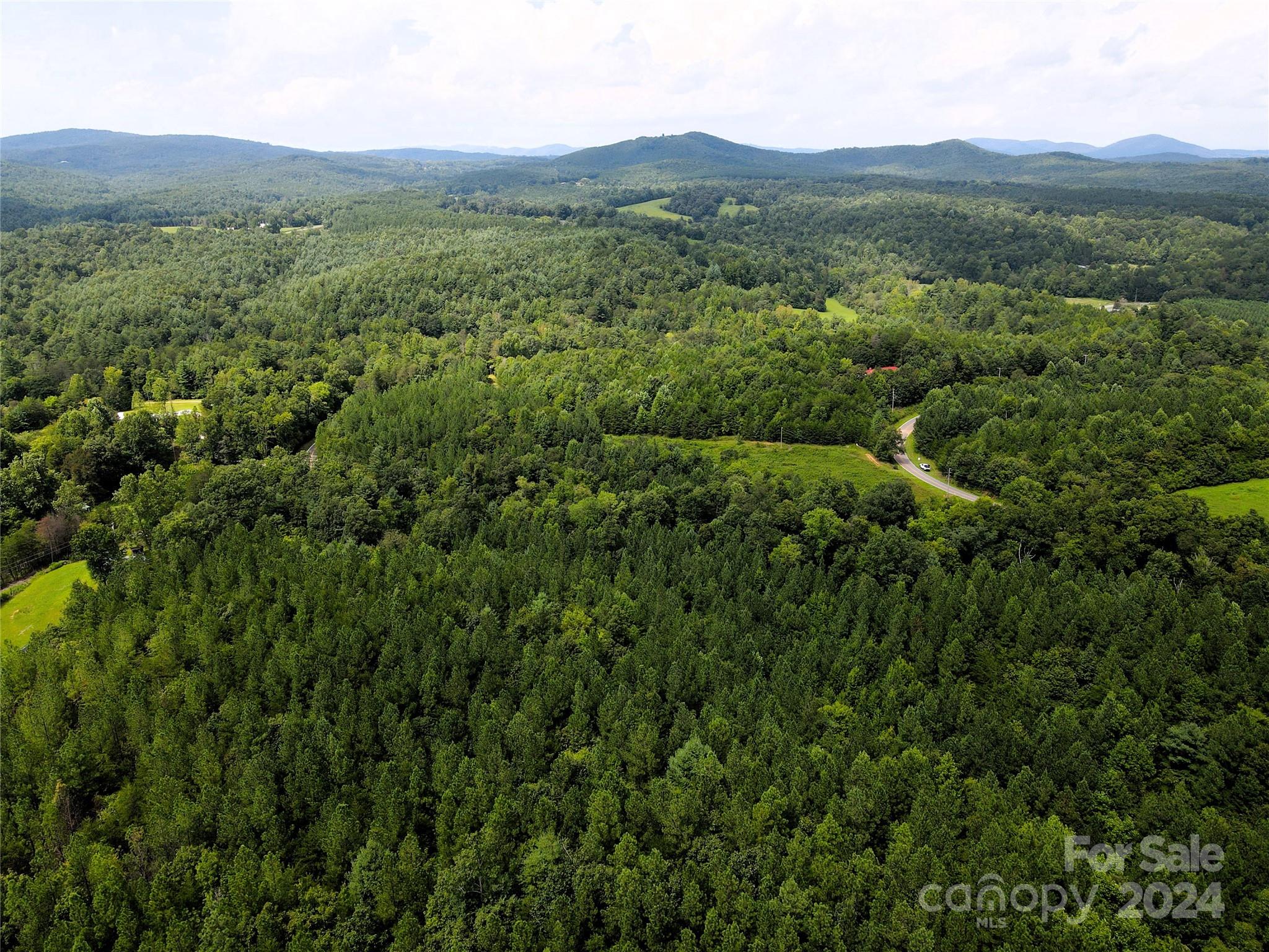 5157 Rhoney Road Connelly Springs, NC 28612 - Photo 8 of 29 a view of a lush green hillside and houses