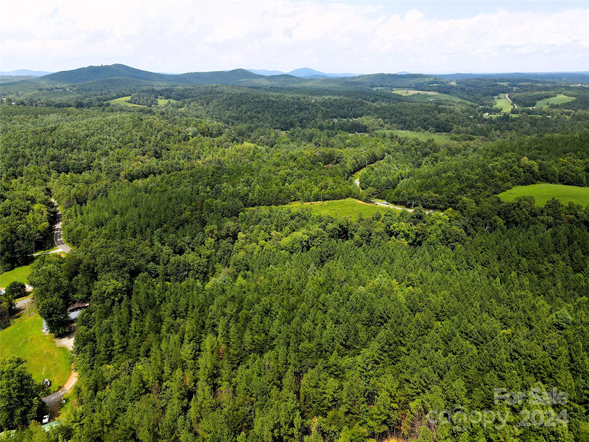 5157 Rhoney Road Connelly Springs, NC 28612 - Photo 9 of 29 a view of a lush green hillside and houses