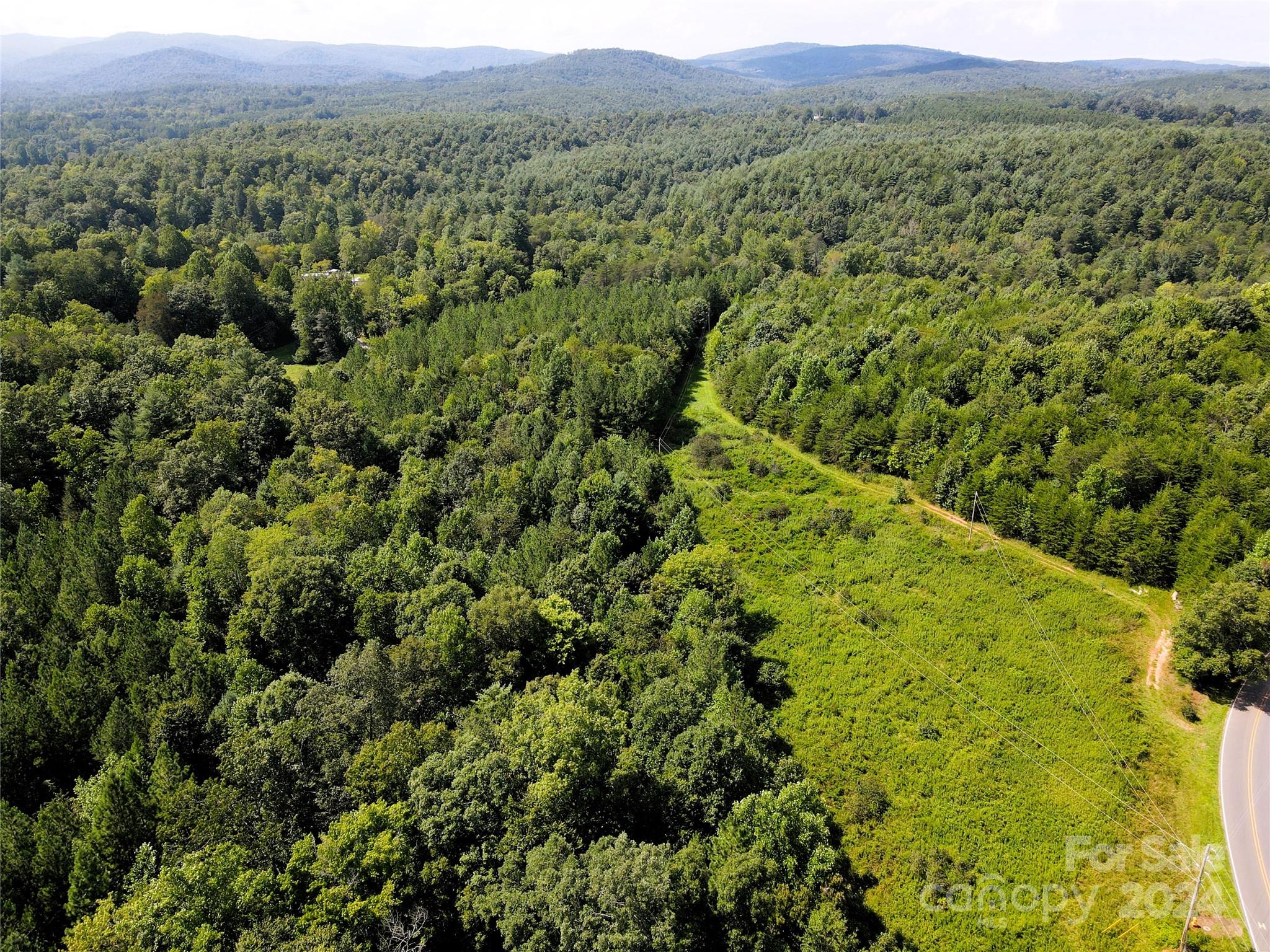 5157 Rhoney Road Connelly Springs, NC 28612 - Photo 10 of 29 a view of a green field with lots of bushes