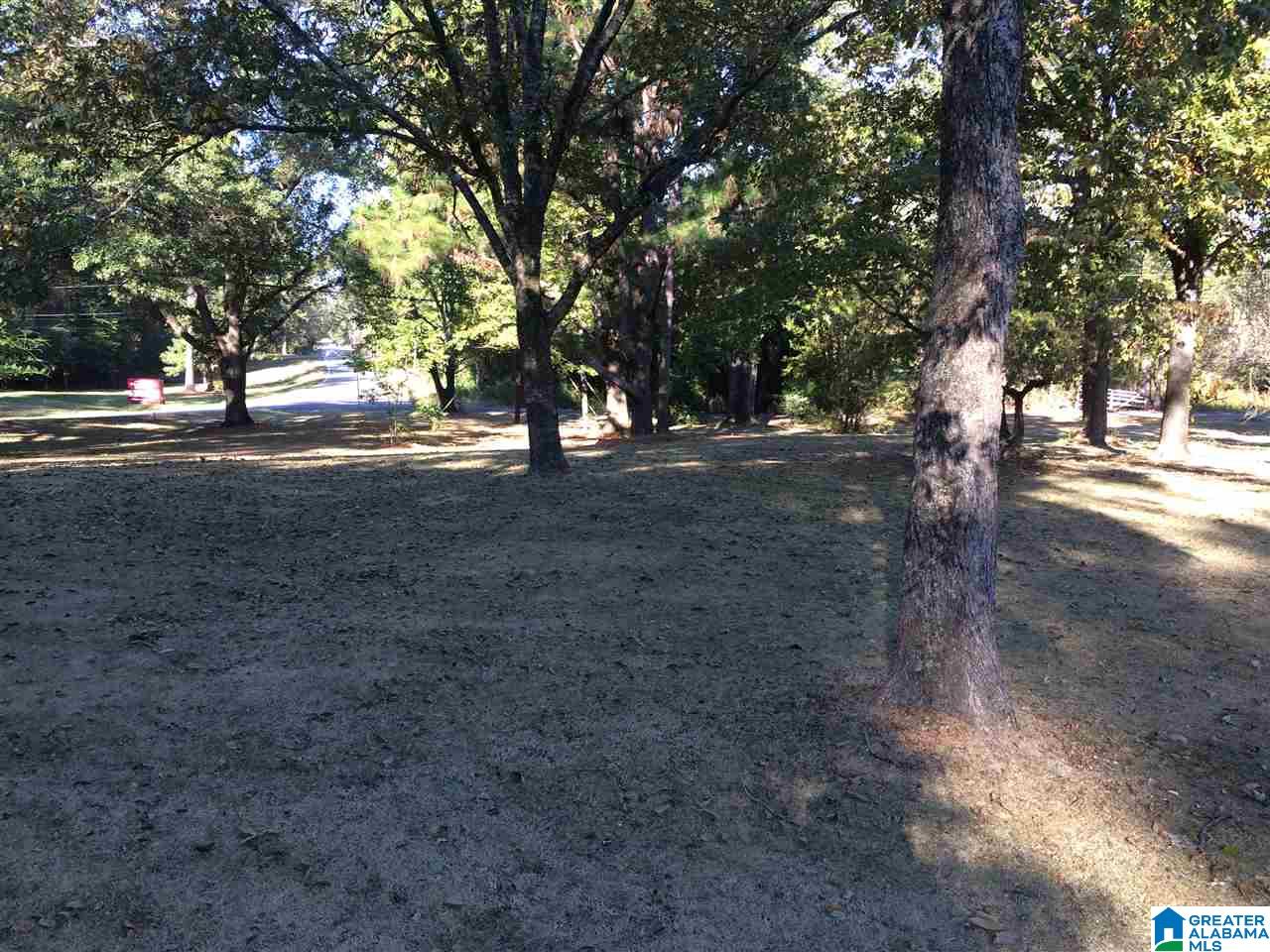 8621 Lock 17 Road Bessemer, AL 35023 - Photo 8 of 23