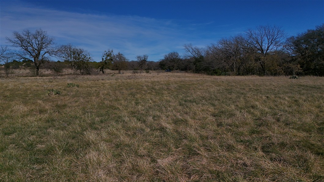 2874 County Road 4630 Kempner, TX 76539 - Photo 12 of 33 a view of a outdoor space with trees all around