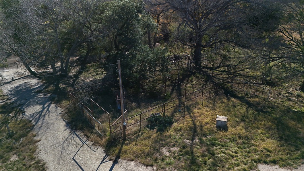 2874 County Road 4630 Kempner, TX 76539 - Photo 13 of 33 a view of a forest with lots of trees