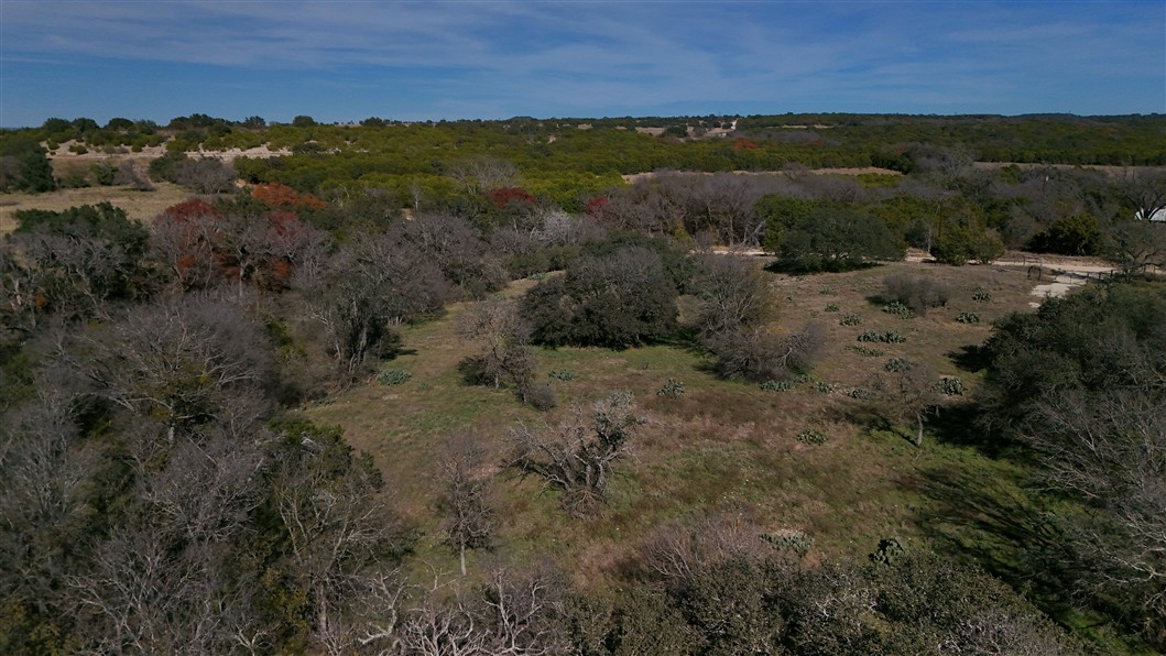 2874 County Road 4630 Kempner, TX 76539 - Photo 15 of 33 a view of a forest with a lush green forest