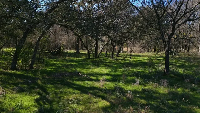 $975,000 | 2874 County Road 4630, Kempner, TX 76539