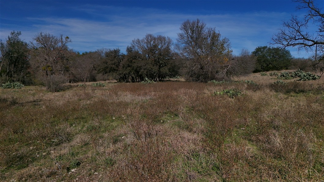 2874 County Road 4630 Kempner, TX 76539 - Photo 18 of 33 a view of an outdoor space with mountain view