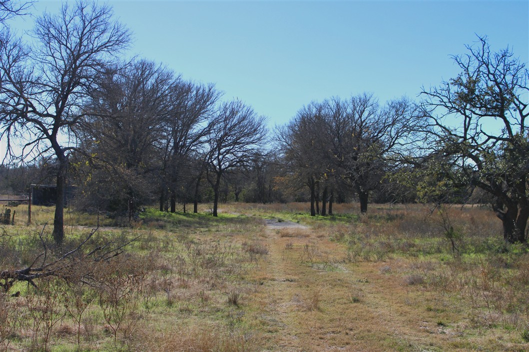 2874 County Road 4630 Kempner, TX 76539 - Photo 19 of 33 a fire hydrant in the middle of a field