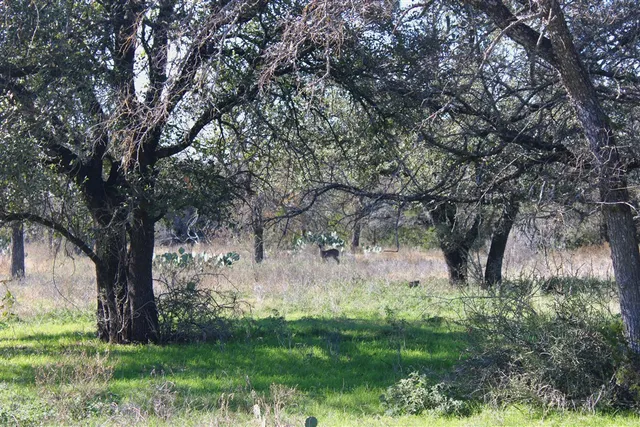 $975,000 | 2874 County Road 4630, Kempner, TX 76539