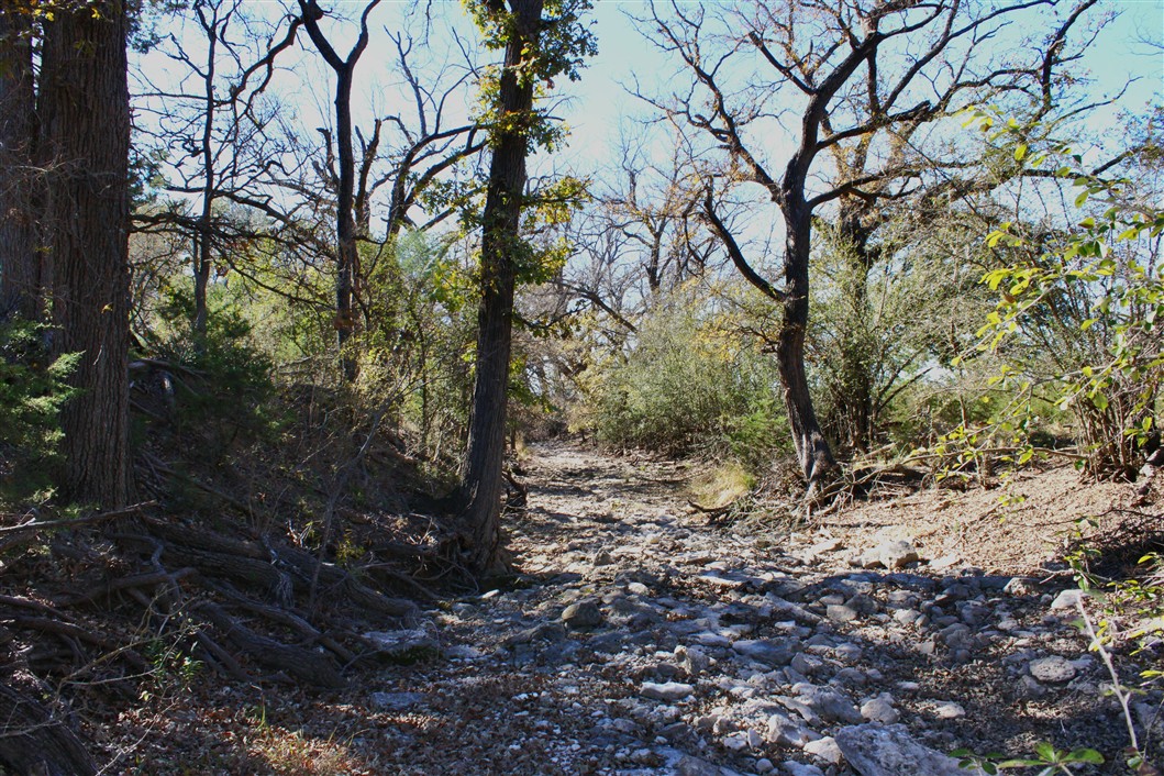 2874 County Road 4630 Kempner, TX 76539 - Photo 22 of 33 a view of a trees