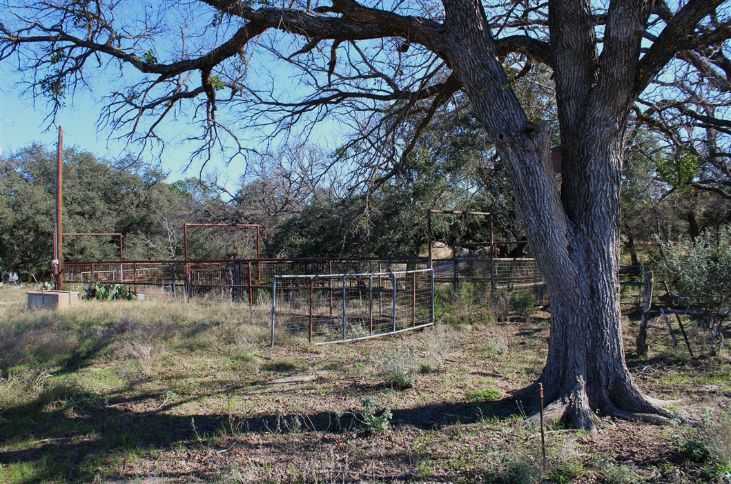 2874 County Road 4630 Kempner, TX 76539 - Photo 31 of 33 a view of lake with a tree