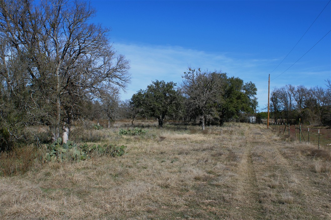 2874 County Road 4630 Kempner, TX 76539 - Photo 33 of 33 a view of a dry yard with trees