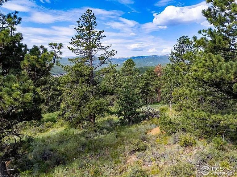 1445 Ridge Road Nederland, CO 80466 - Photo 13 of 20 Gallery Image 13