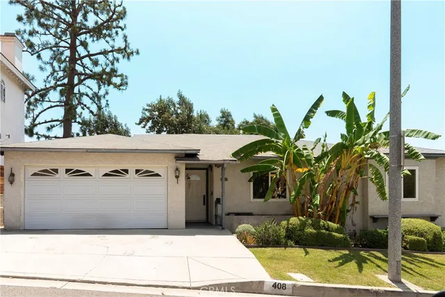 a view of a backyard with plants