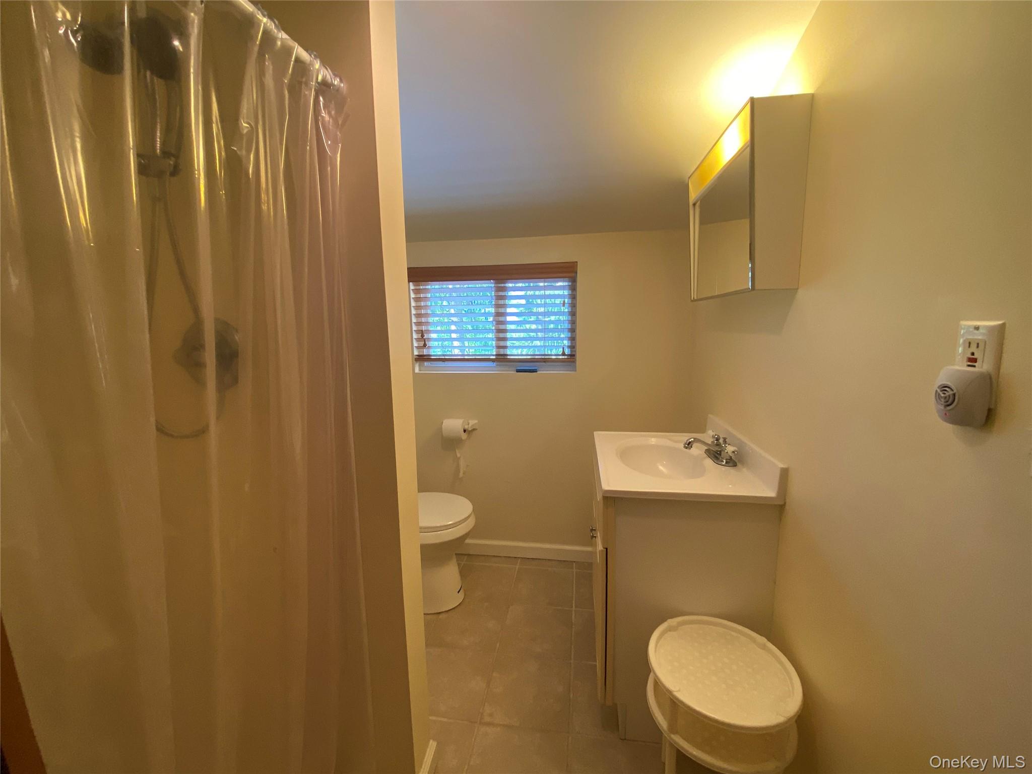 13 Fisher Road Cochecton, NY 12726 - Photo 28 of 32 a bathroom with a toilet a sink and mirror