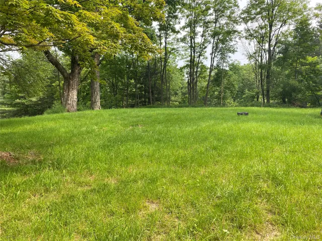 a view of outdoor space with deck and yard