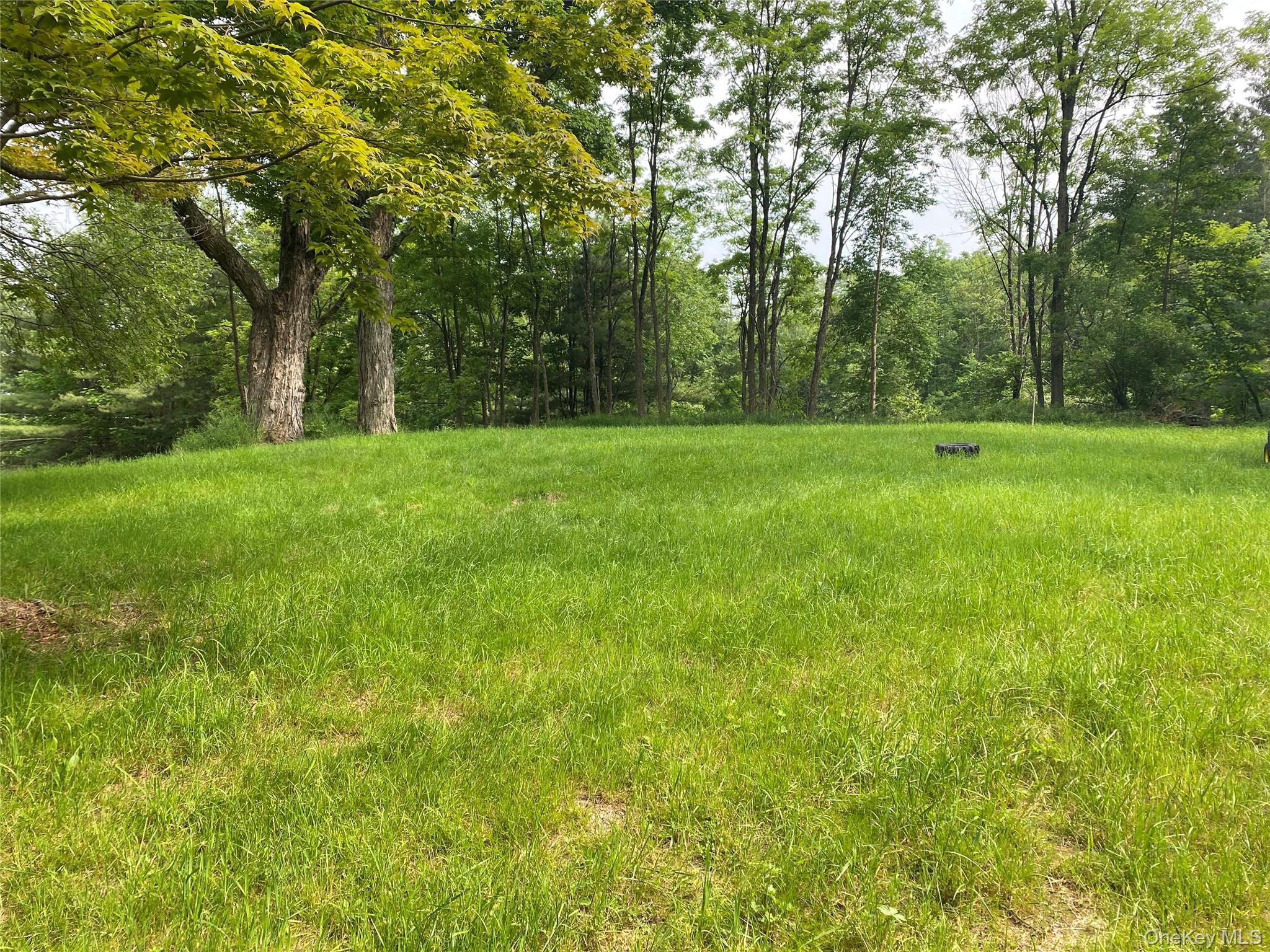 13 Fisher Road Cochecton, NY 12726 - Photo 6 of 32 a view of outdoor space with deck and yard