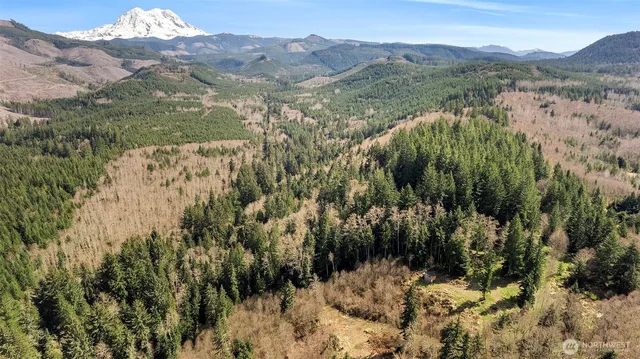 a view of a forest with mountains in the background
