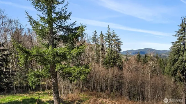 a view of a lake with a mountain in the background