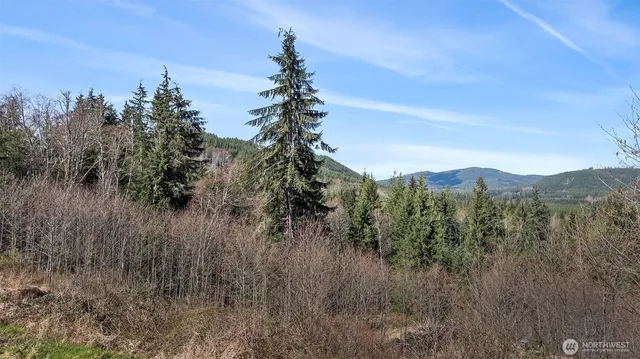 a view of a bunch of trees in a field