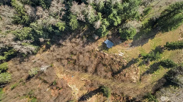 a view of a tree in a yard