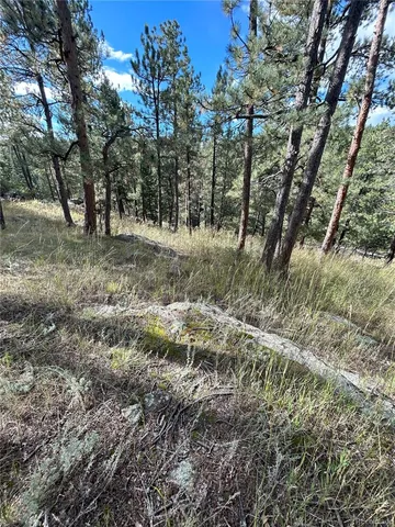 $140,000 | 5233 South Rd A, Evergreen, CO 80439