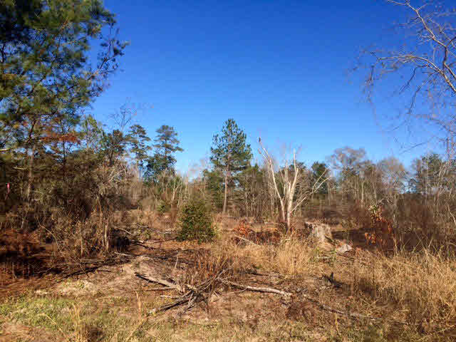20932 Earl Phillips Road Little River, AL 36550 - Photo 14 of 17