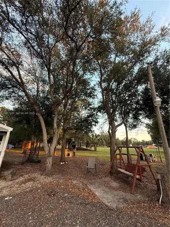 a view of a park with large trees