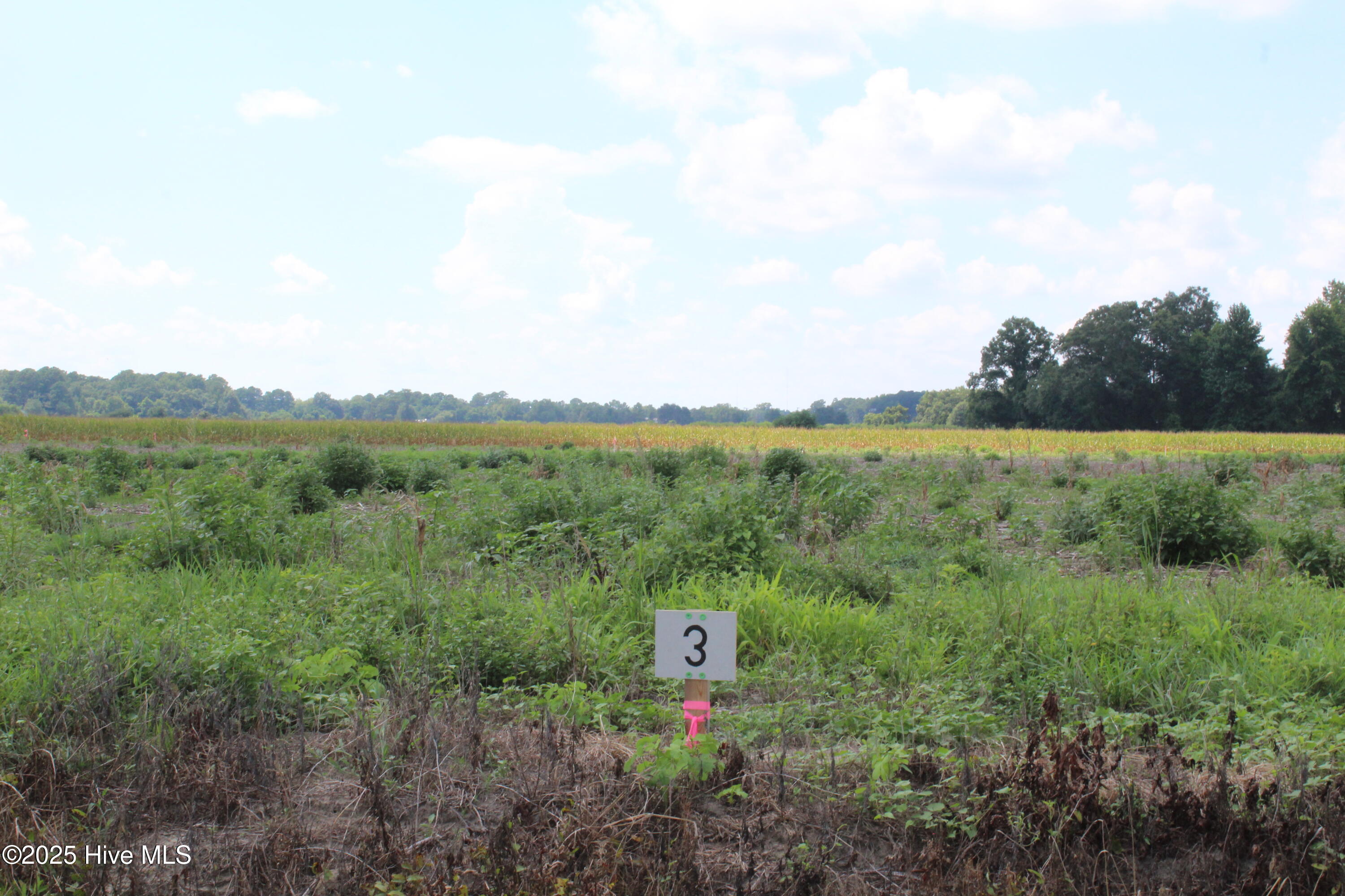 950 Whaley Road Kinston, NC 28501 - Photo 1 of 1 front