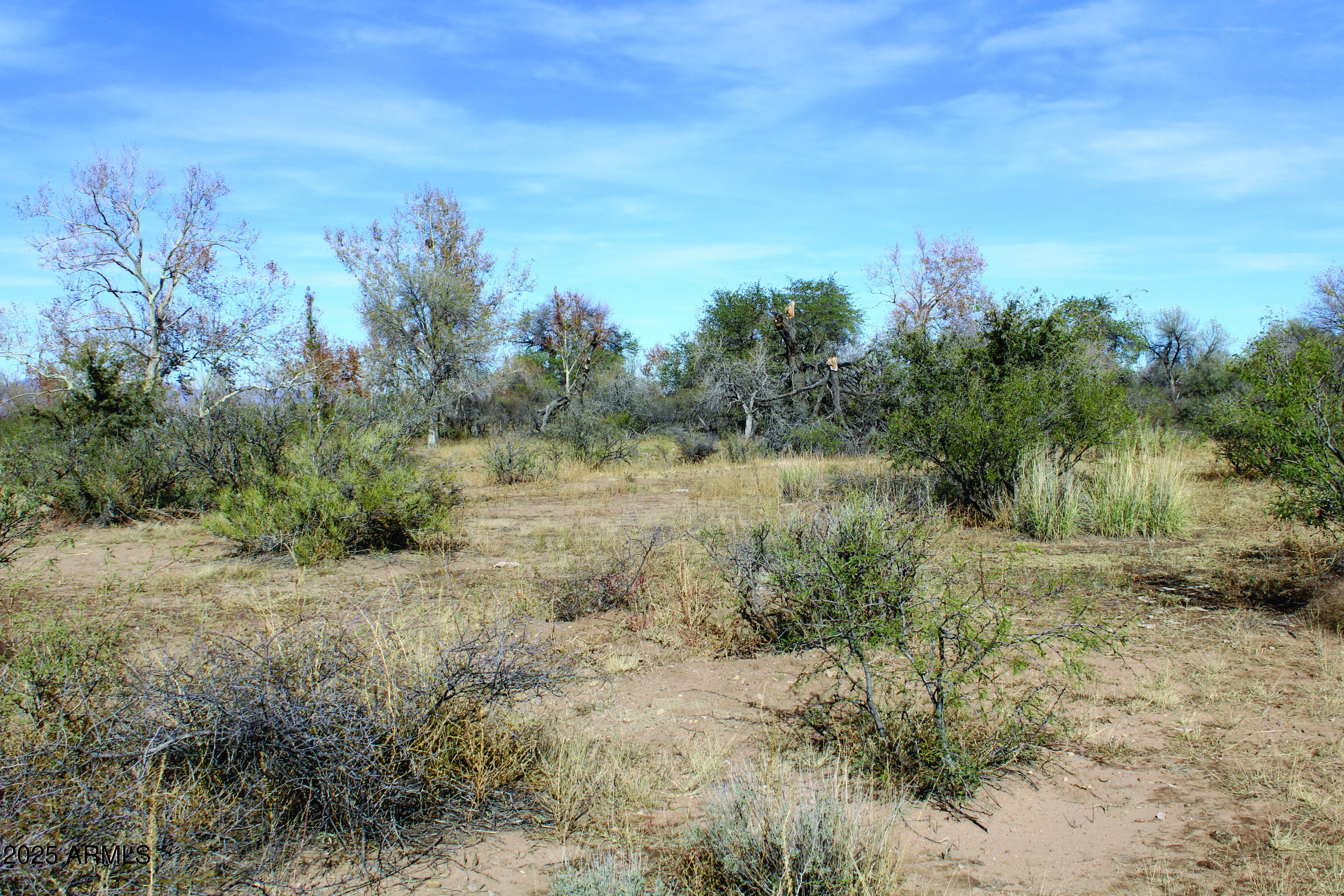10-acres East Roadrunner Road Pearce, AZ 85625 - Photo 30 of 37 IMG_0805.JPG