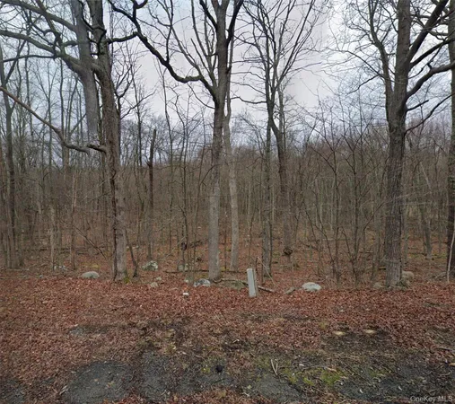 $69,000 | Cr-49, Middletown, NY 10940