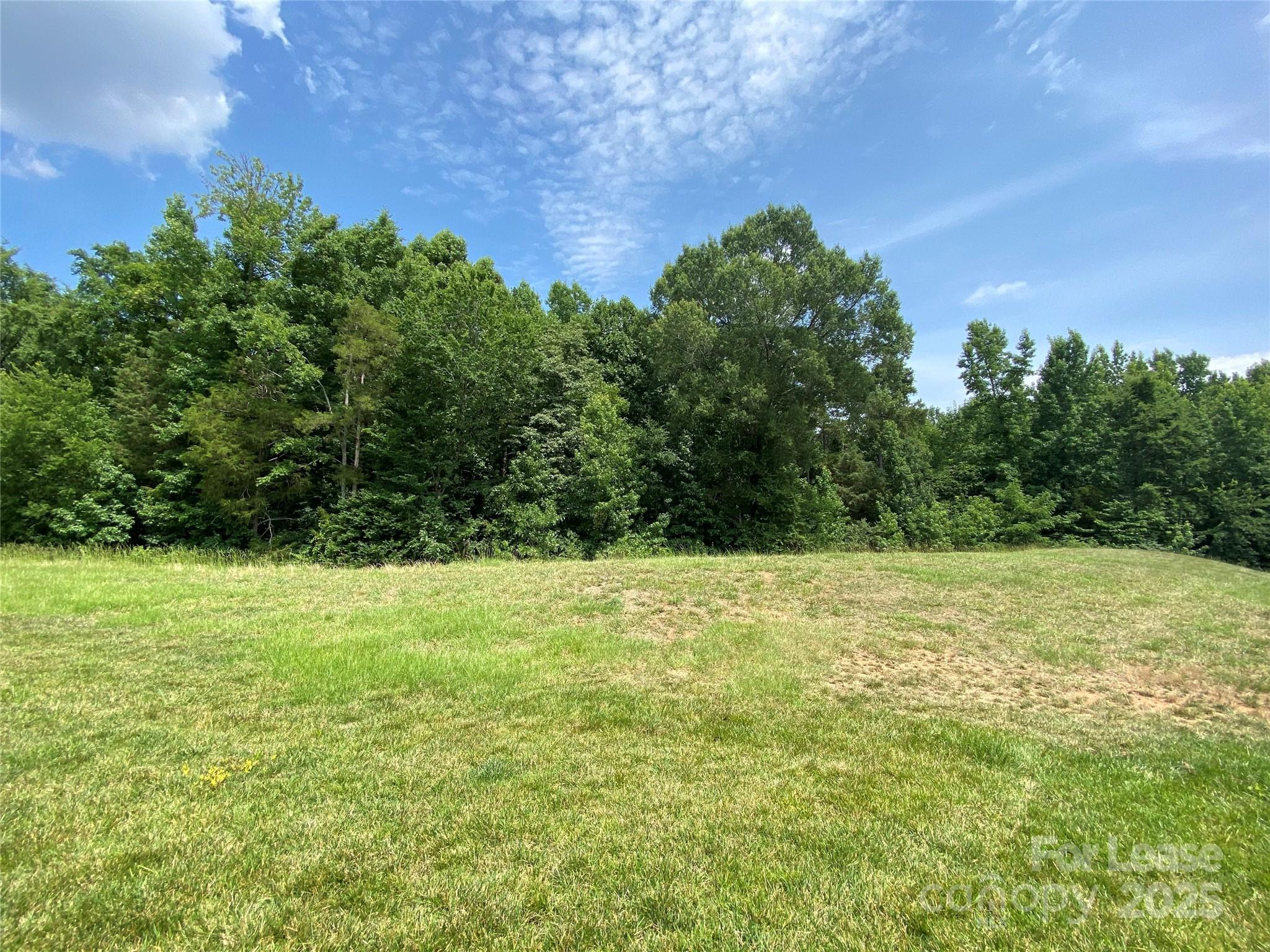 2601 Silverthorn Drive Charlotte, NC 28273 - Photo 33 of 36 a view of a field with an trees
