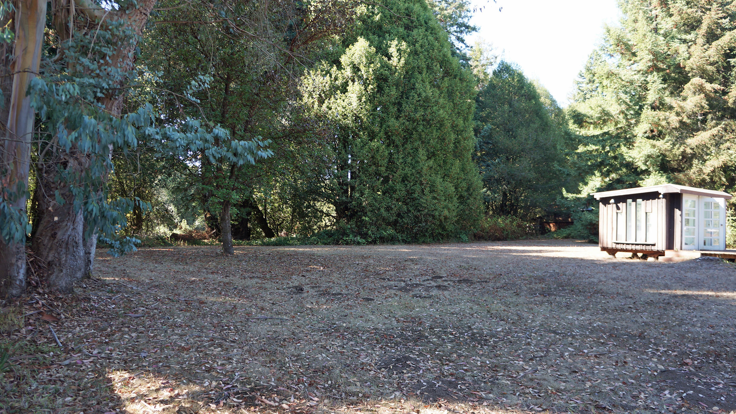 3502 Fisher Road Hydesville, CA 95547 - Photo 23 of 31 Rear Yard