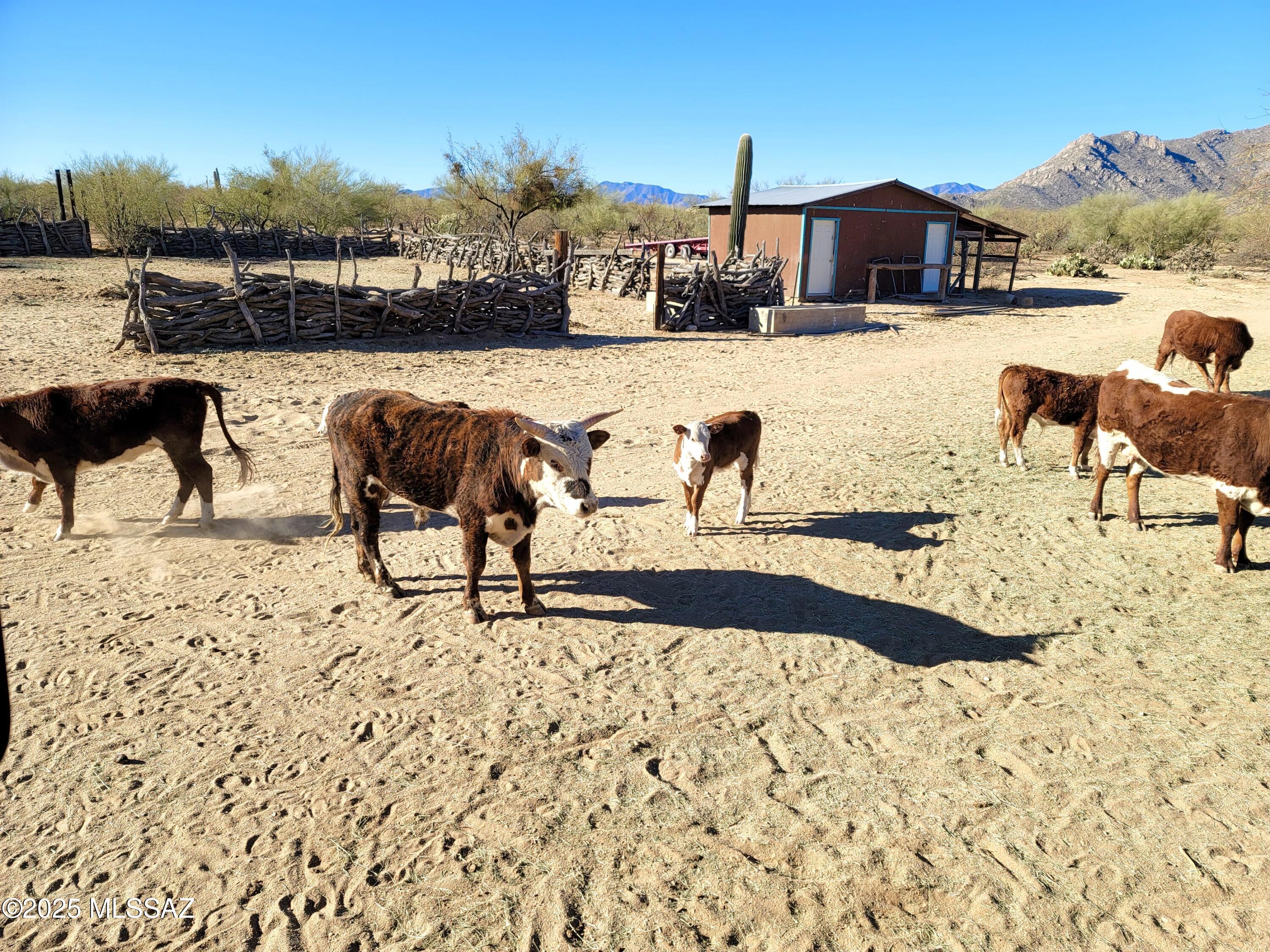 13325 South Coleman Road Tucson, AZ 85735 - Photo 40 of 48