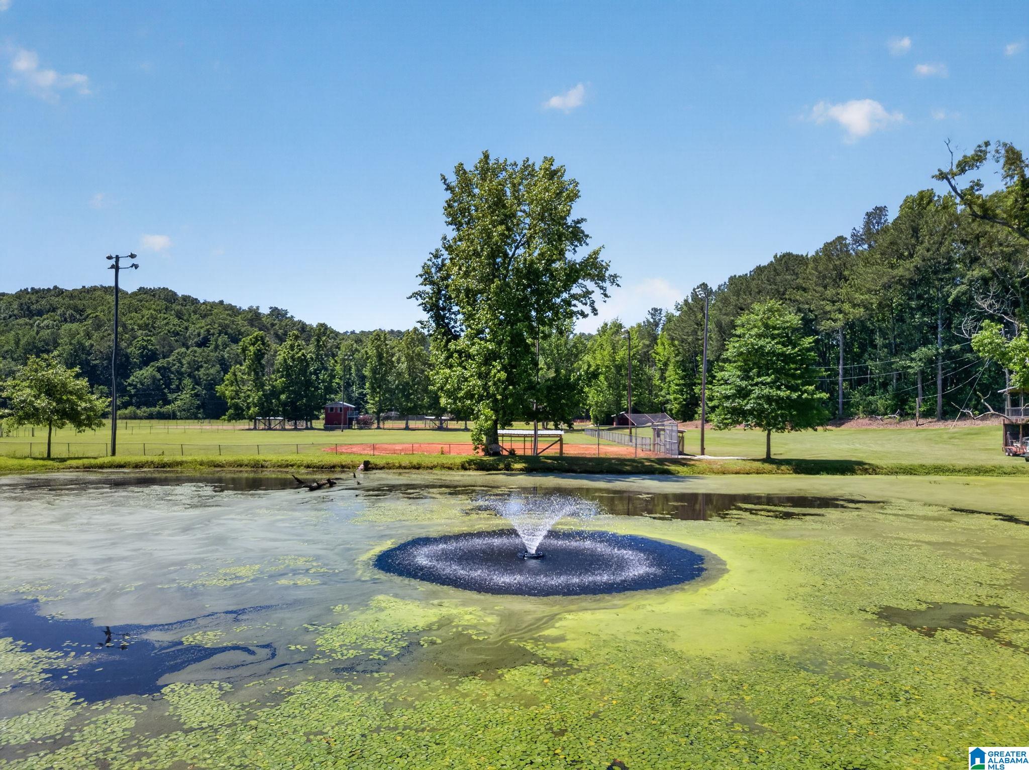 3463 County Road 3 Delta, AL 36258 - Photo 87 of 100