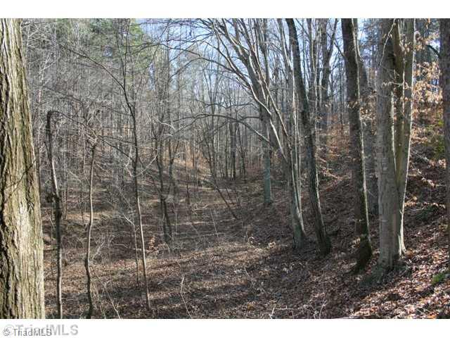 888 Trot Valley Road Stuart, VA 24171 - Photo 15 of 16 Land.
