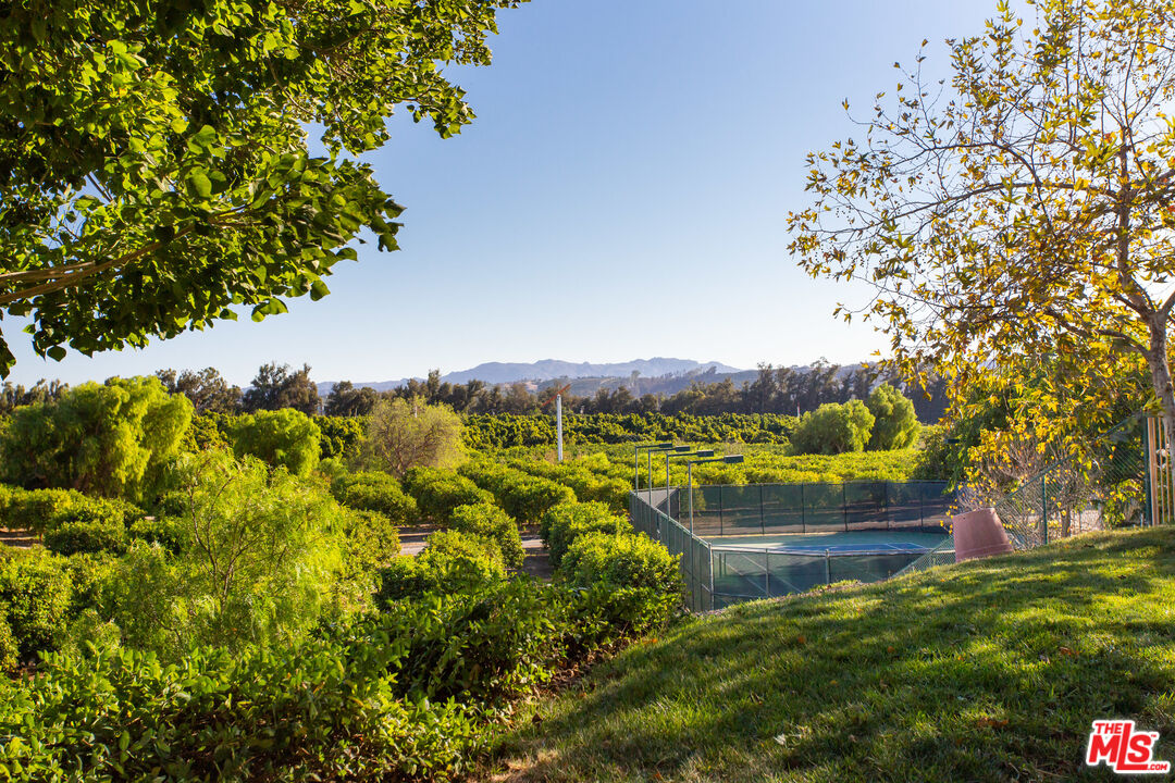 9269 Stockton Road Moorpark, CA 93021 - Photo 38 of 46 a view of a garden with mountain